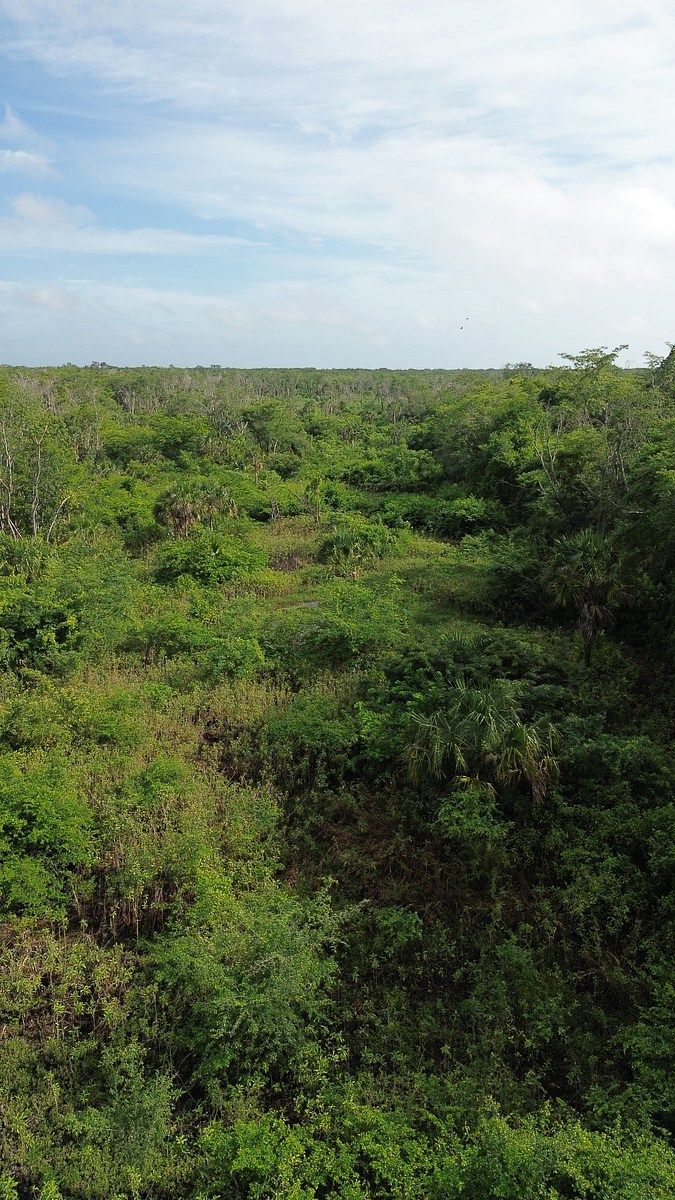 Lote em 20 de Noviembre, Campeche, foto 5 de 25