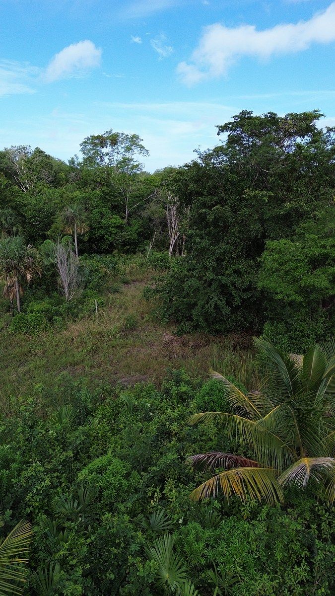 Lote em 20 de Noviembre, Campeche, foto 6 de 25