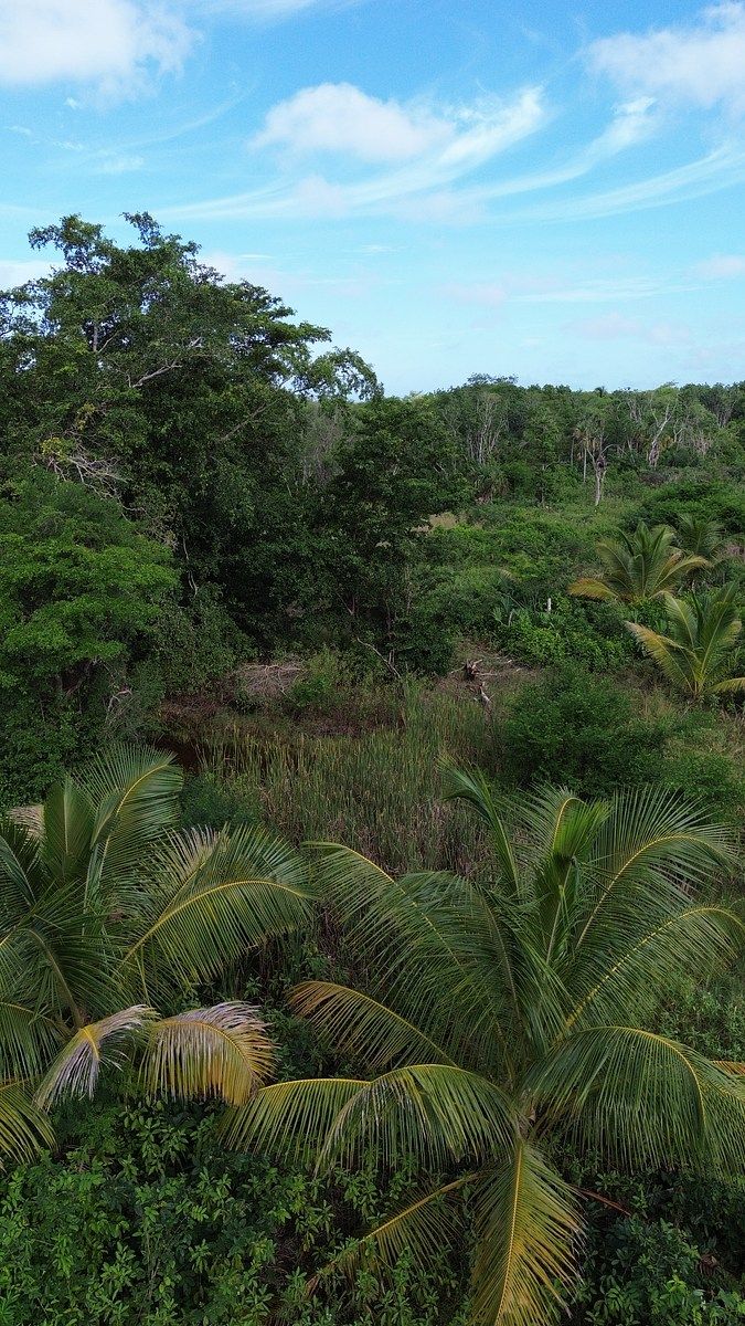 🌿 RESERVA TENABO · 3,97 HECTARES, foto 1 de 25