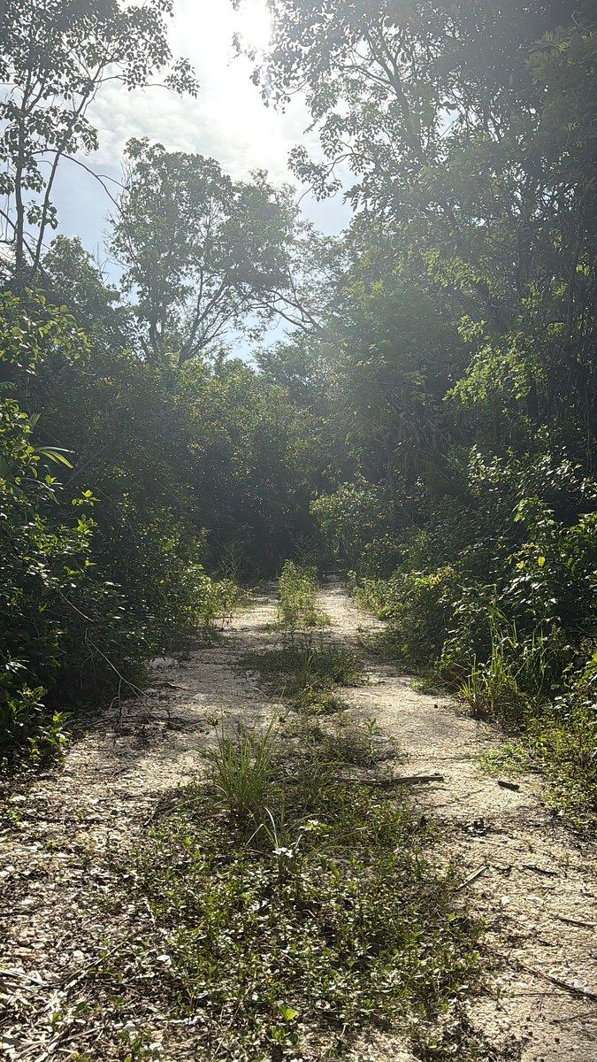Lote em 20 de Noviembre, Campeche, foto 7 de 25