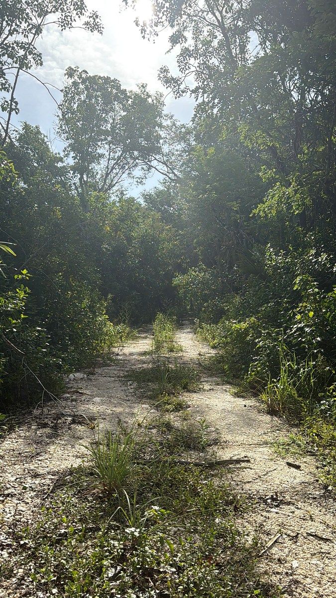 Lote em 20 de Noviembre, Campeche, foto 8 de 25