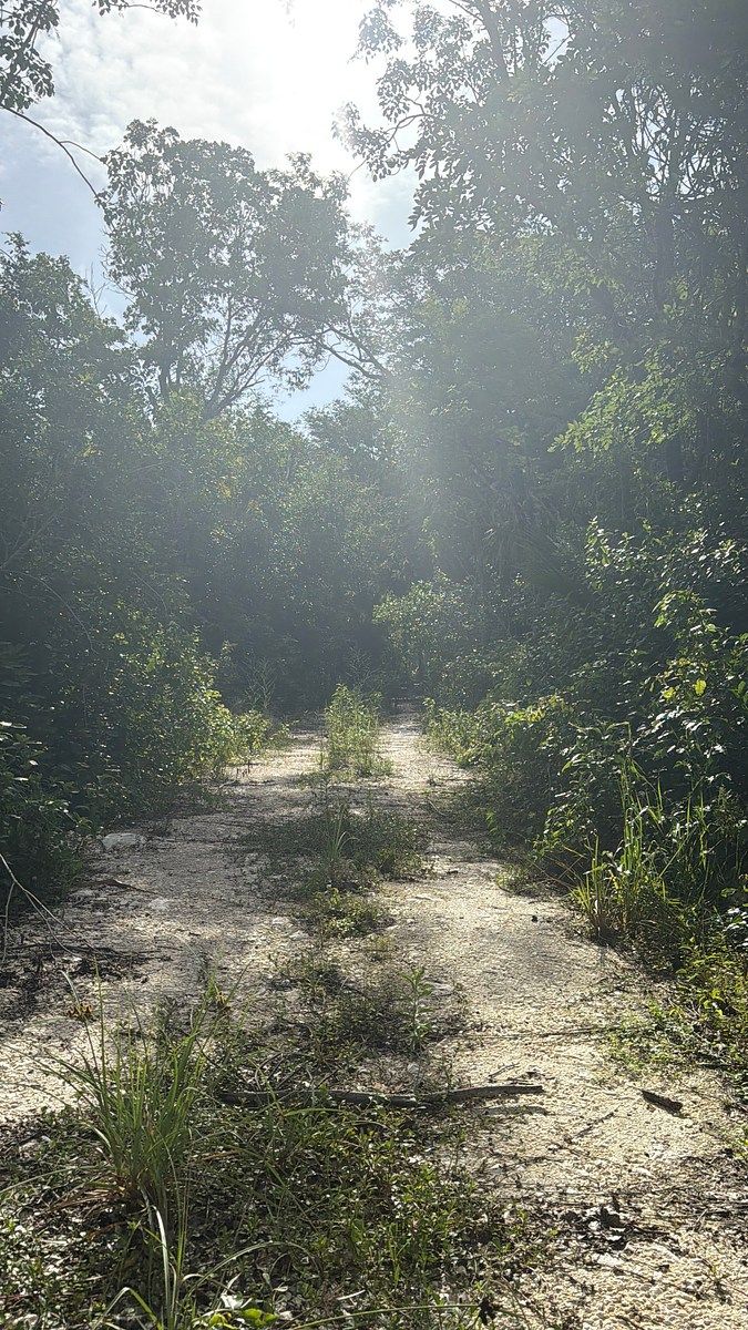 Lote em 20 de Noviembre, Campeche, foto 9 de 25
