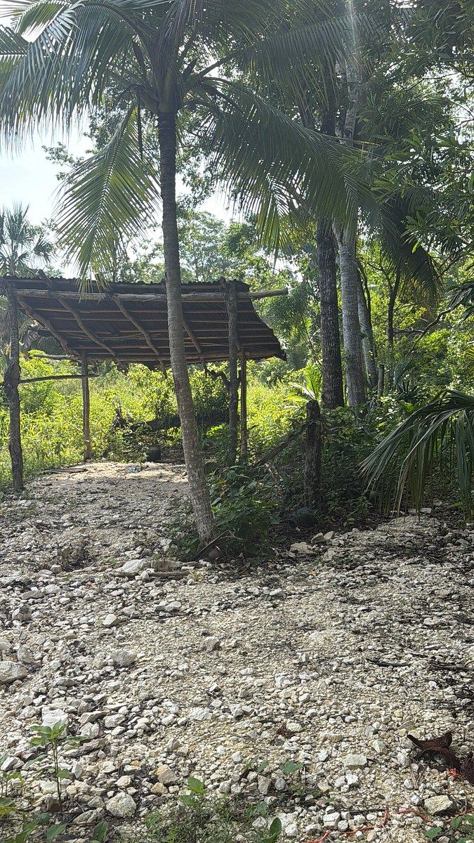 Lote em 20 de Noviembre, Campeche, foto 10 de 25