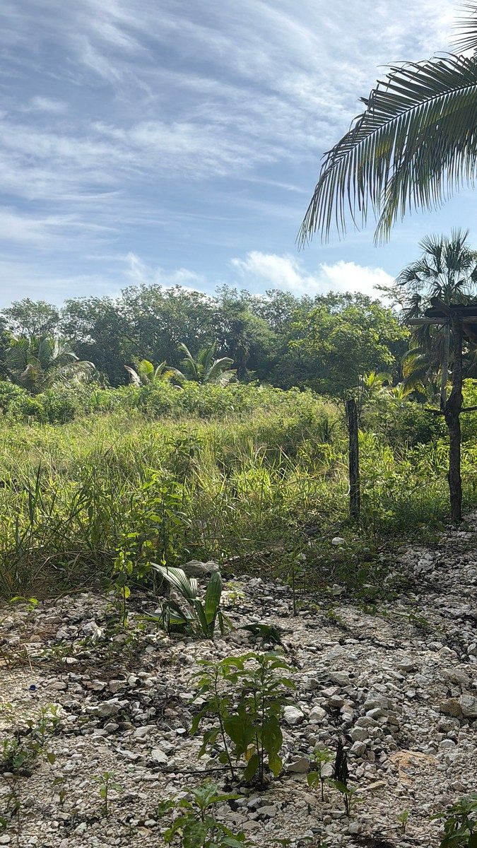Lote em 20 de Noviembre, Campeche, foto 11 de 25