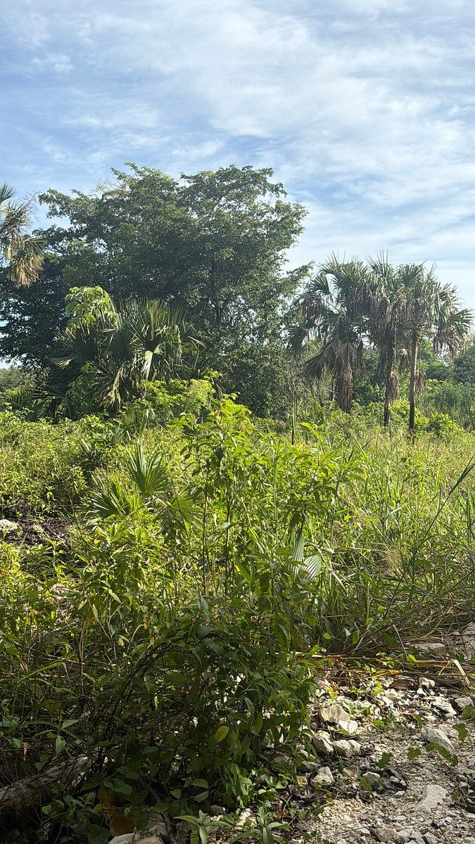 Lote em 20 de Noviembre, Campeche, foto 12 de 25