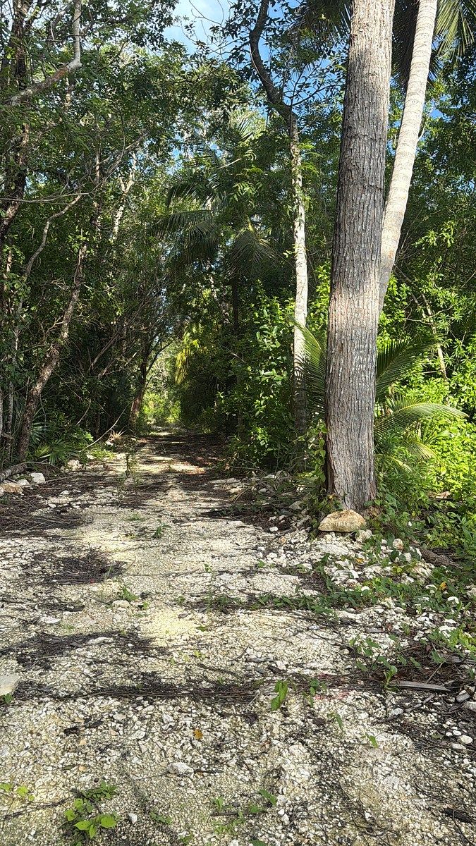 Lote em 20 de Noviembre, Campeche, foto 15 de 25
