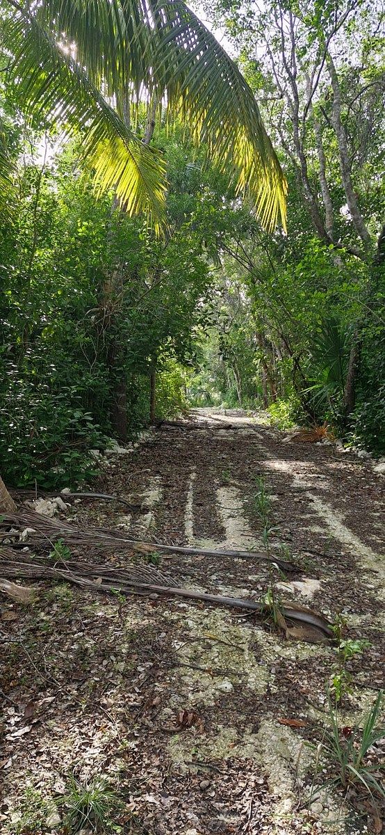 Lote em 20 de Noviembre, Campeche, foto 16 de 25