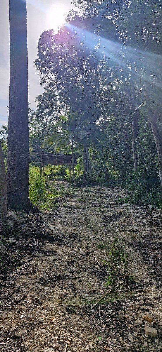 Lote em 20 de Noviembre, Campeche, foto 17 de 25