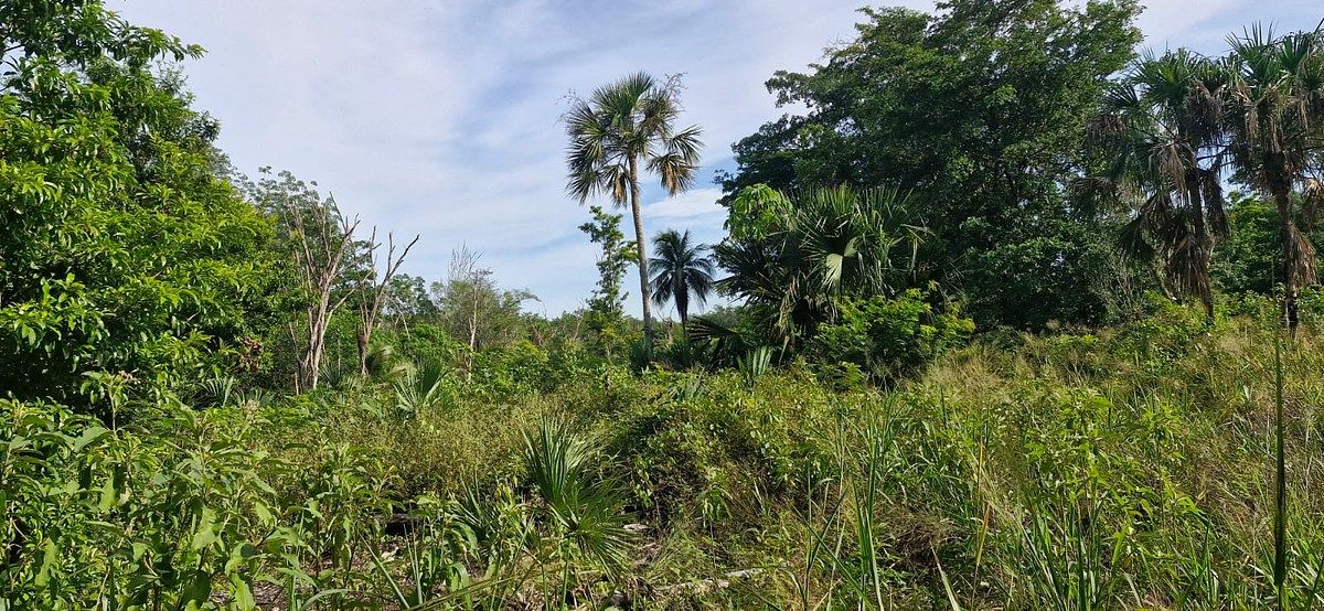 Lote em 20 de Noviembre, Campeche, foto 18 de 25