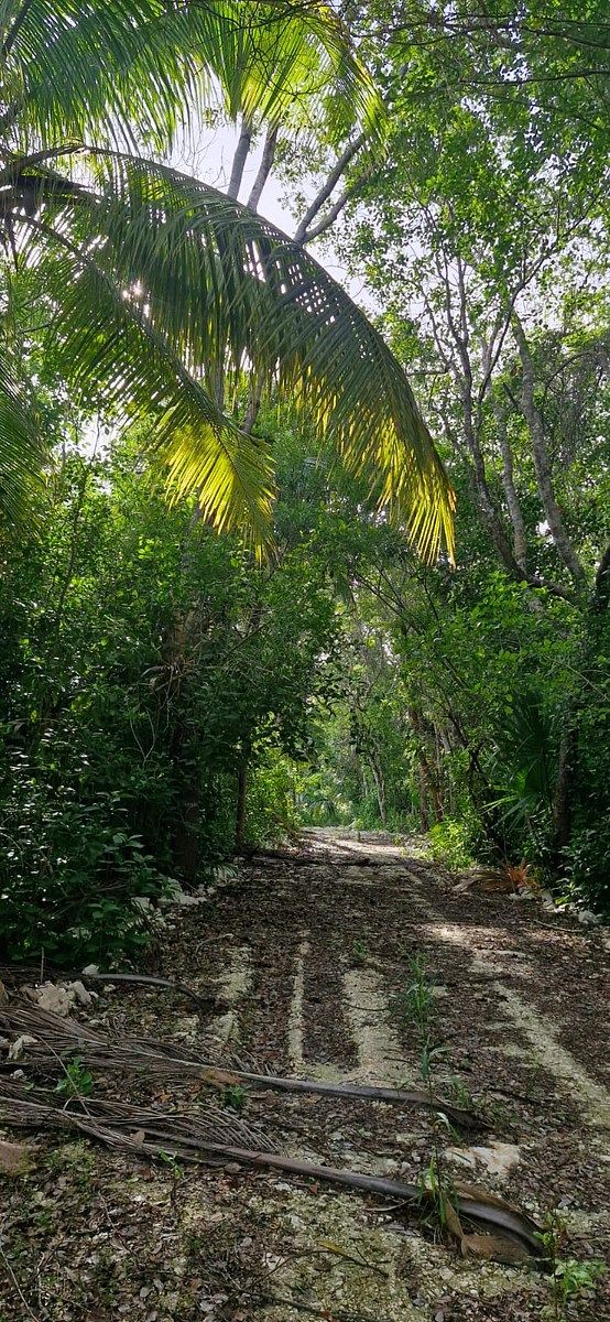 Lote em 20 de Noviembre, Campeche, foto 19 de 25