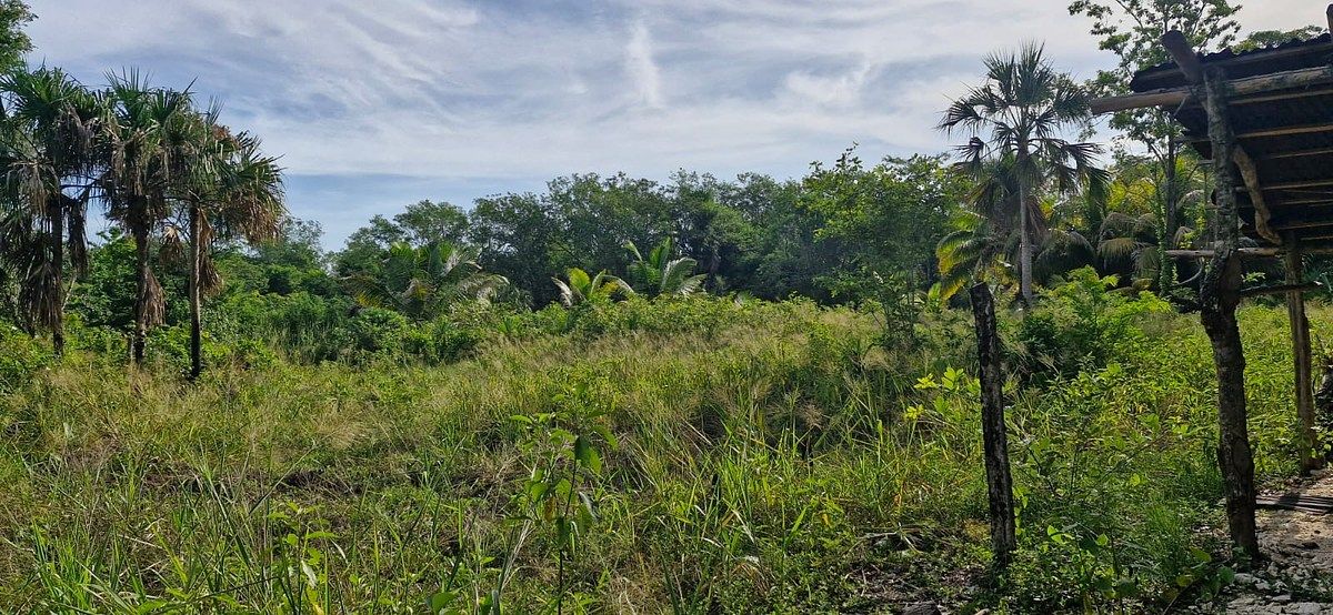 Lote em 20 de Noviembre, Campeche, foto 20 de 25