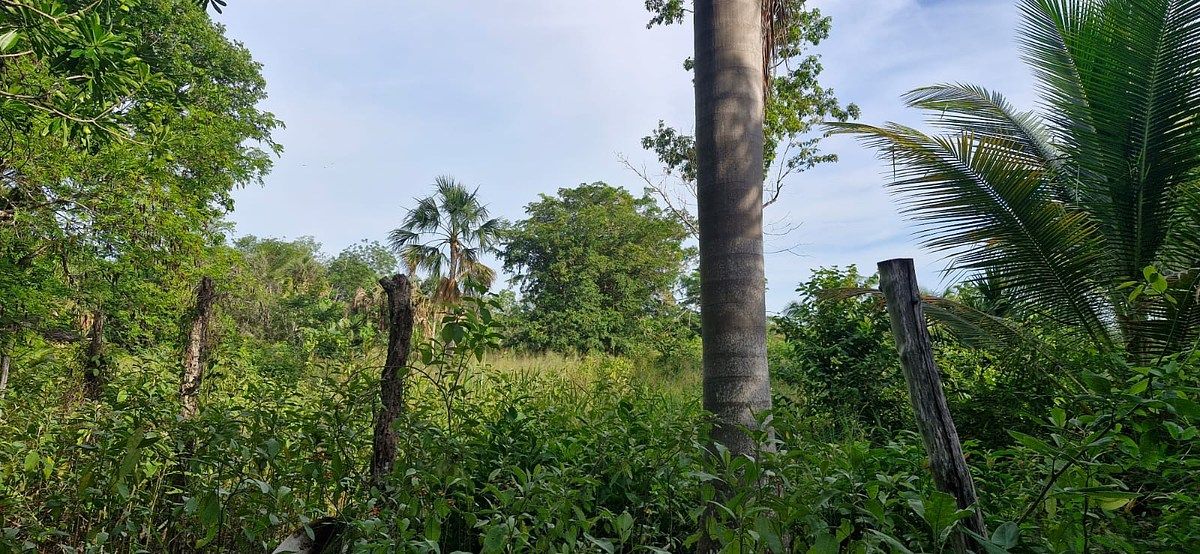 Lote em 20 de Noviembre, Campeche, foto 21 de 25