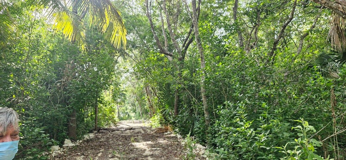 Lote em 20 de Noviembre, Campeche, foto 22 de 25