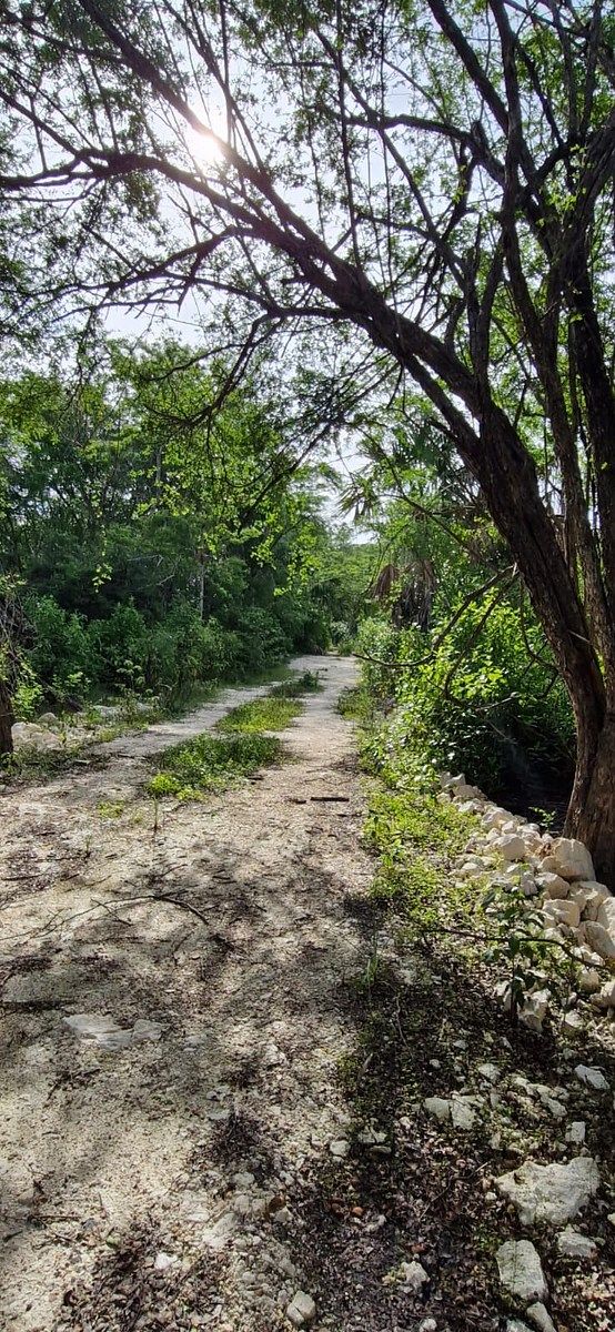Lote em 20 de Noviembre, Campeche, foto 24 de 25