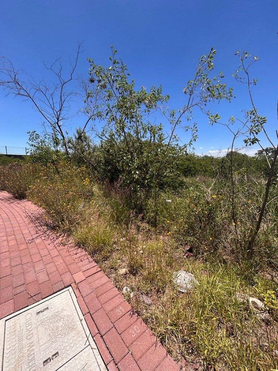Lot in Ciudad Maderas Sur II, Apaseo el Alto, photo 11 of 13