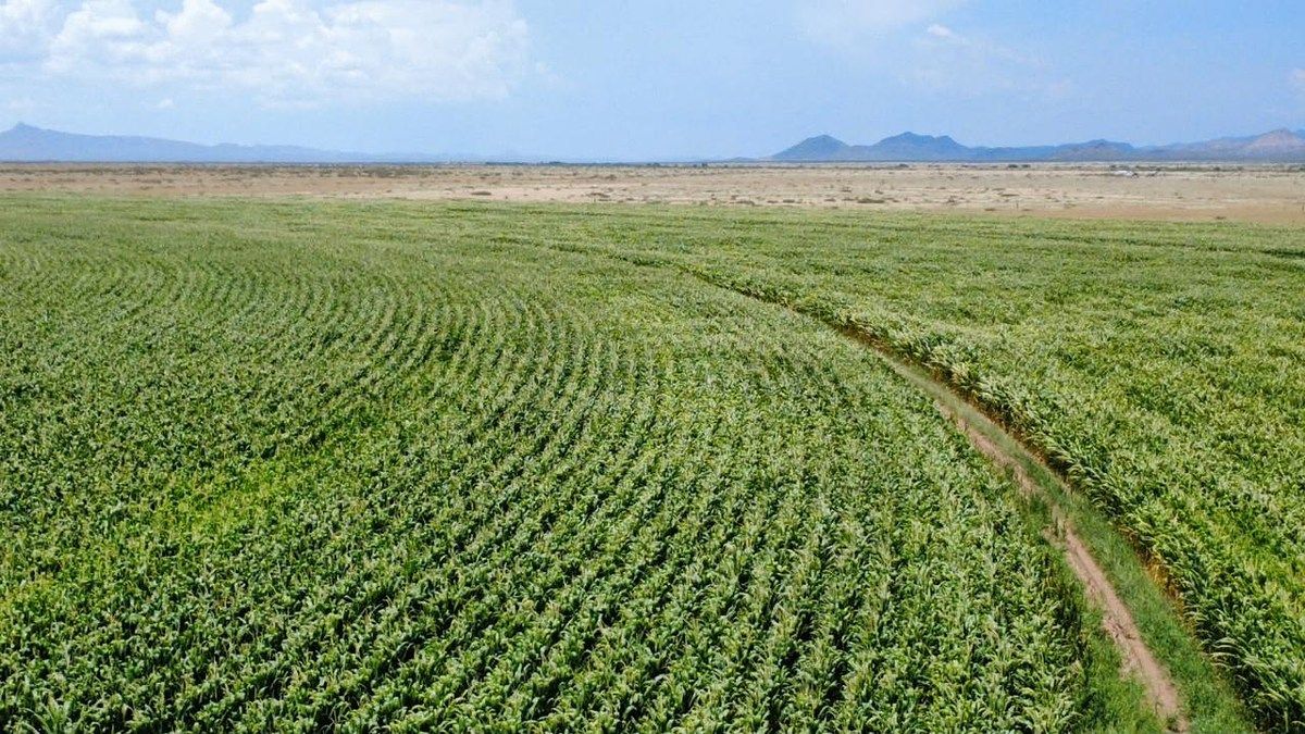 RANCH FOR SALE AT THE DURANGO AND CHIHUAHUA BORDER, photo 1 of 7