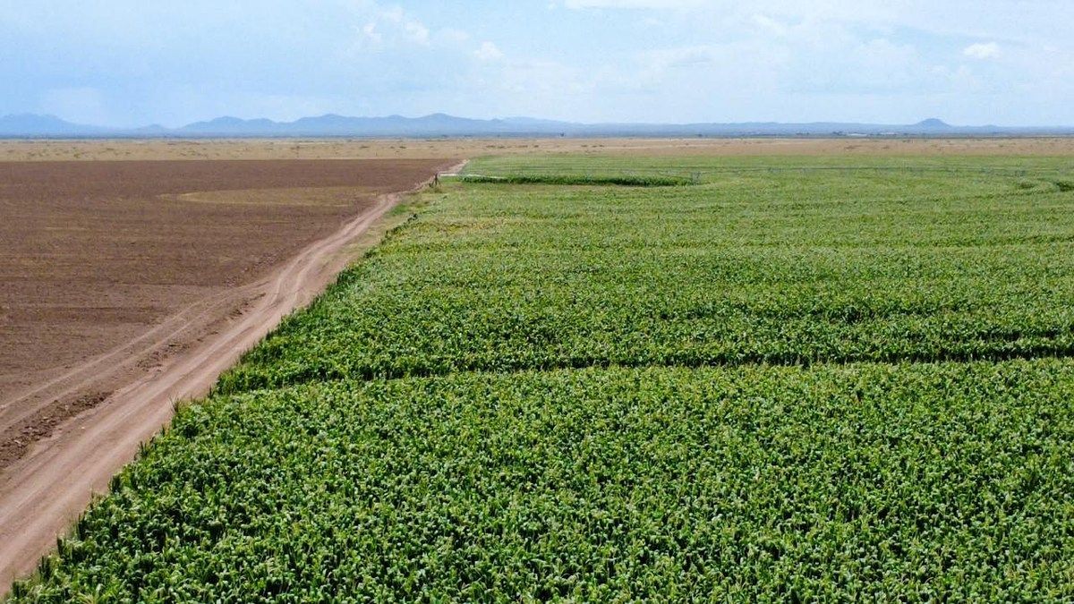 Lot in Escalón, Jiménez, photo 2 of 7