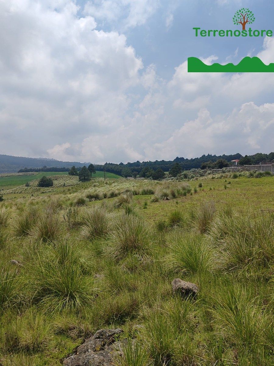 Terreno Ejidal en Venta en Santo Tomás Ajusco, Tlalpan, foto 1 de 8