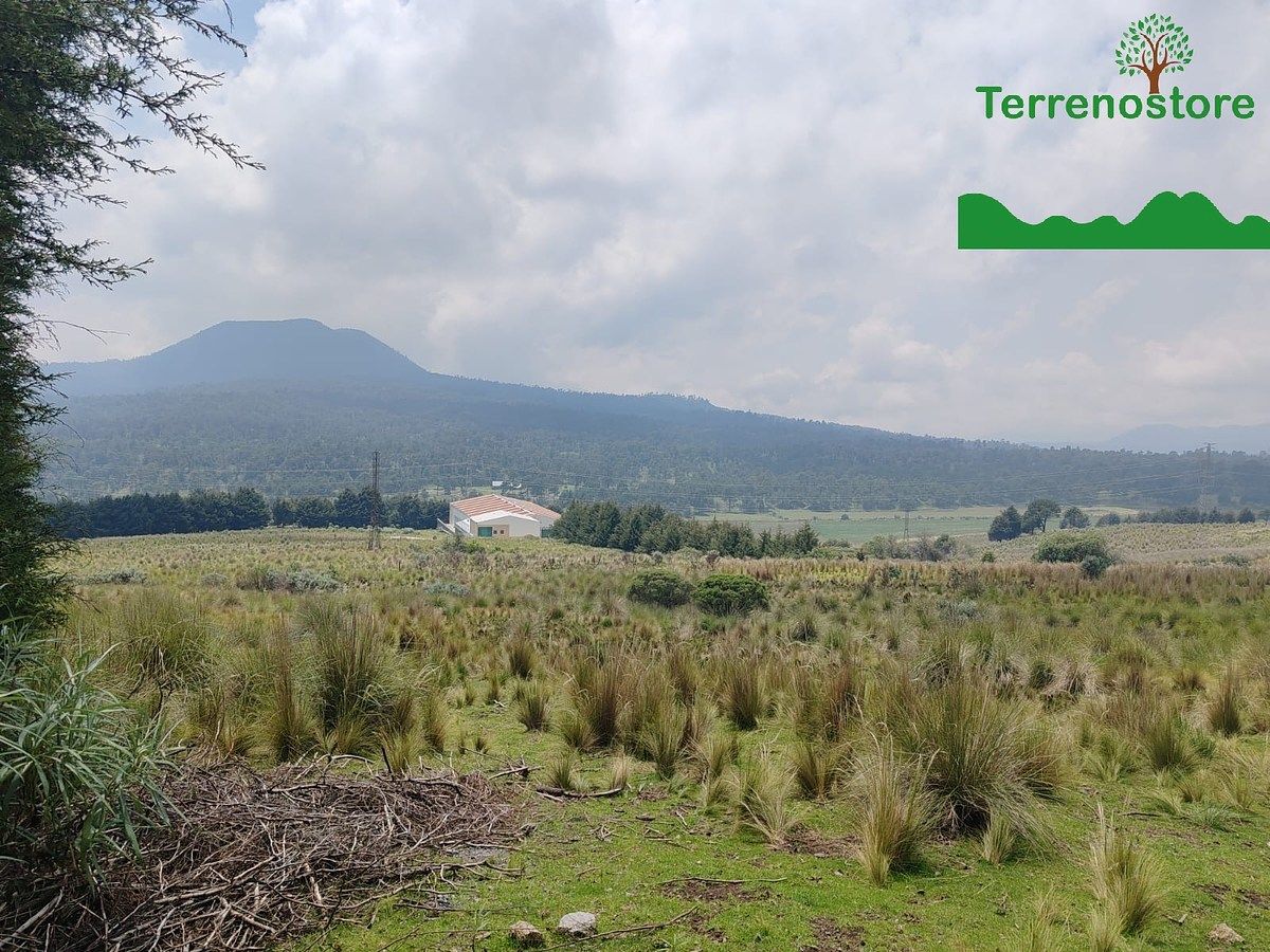 Terreno en Santo Tomas Ajusco, Tlalpan, foto 2 de 8