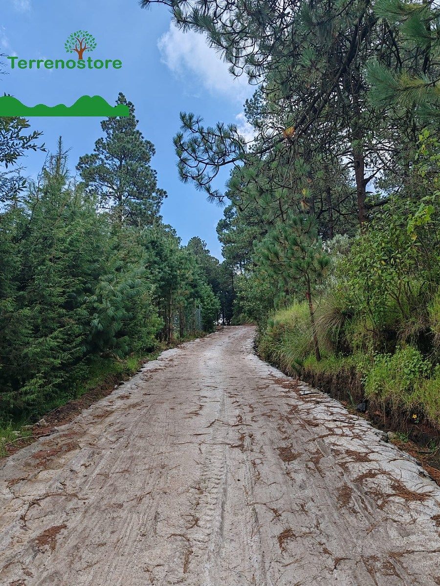 Terreno en Santo Tomas Ajusco, Tlalpan, foto 4 de 8