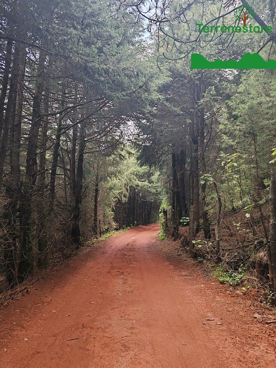 Terreno en Santo Tomas Ajusco, Tlalpan, foto 5 de 8