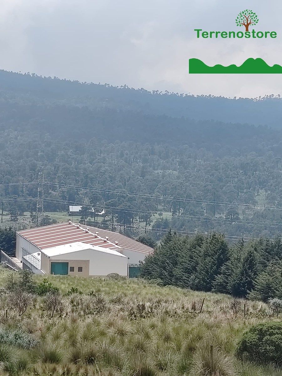 Terreno en Santo Tomas Ajusco, Tlalpan, foto 7 de 8