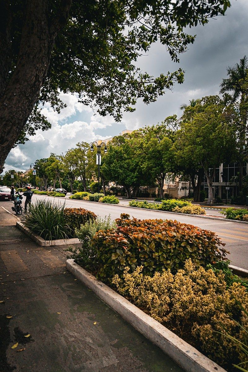 Casa en Mérida Centro, Mérida, foto 6 de 8