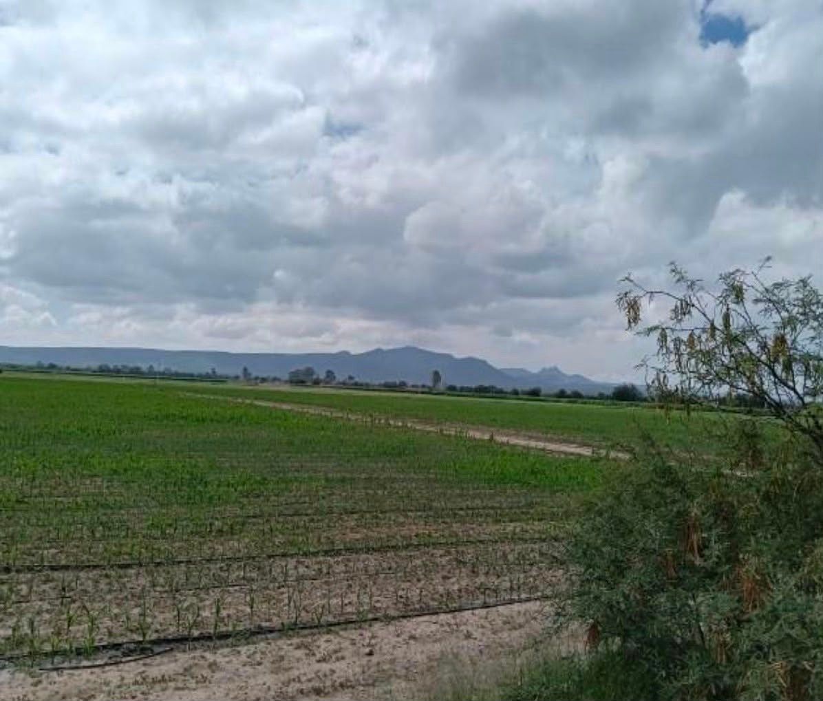 Terreno comercial en El Valle de las Delicias, Rincón de Romos, foto 5 de 5