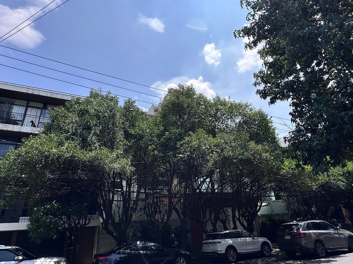 Departamento en Colonia Condesa, Cuauhtémoc, foto 39 de 41