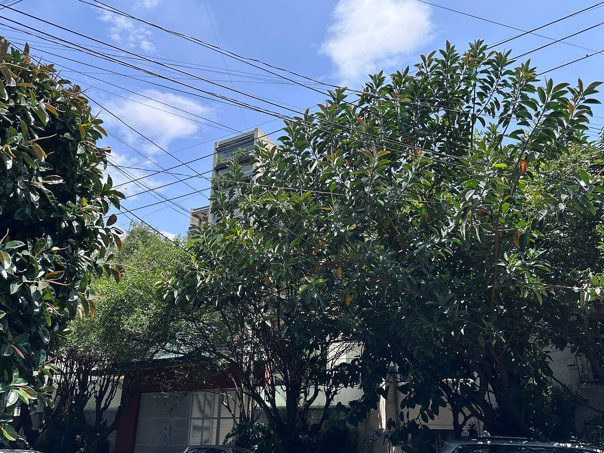 Departamento en Colonia Condesa, Cuauhtémoc, foto 40 de 41