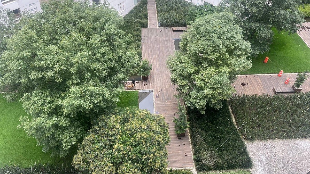 Departamento en Lomas de Bezares, Miguel Hidalgo, foto 24 de 25