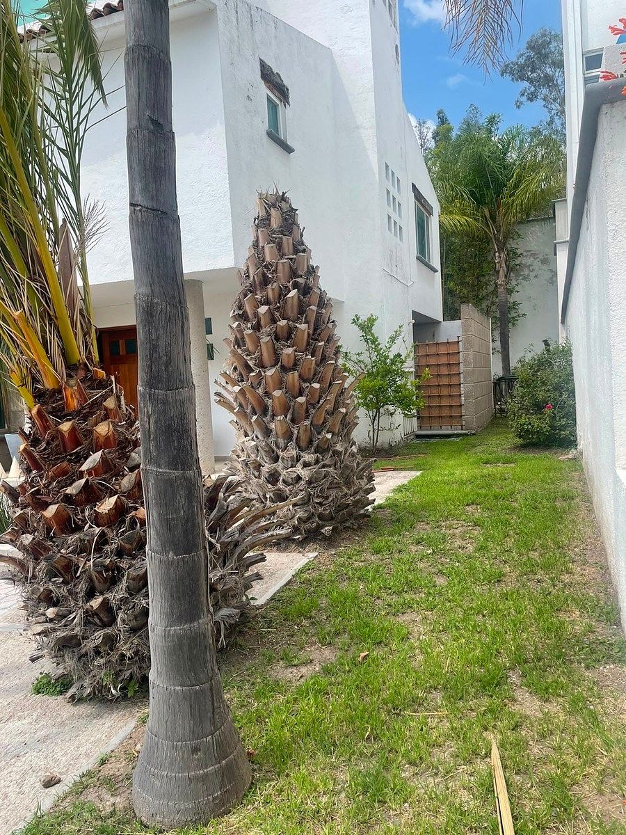 Casa em condomínio fechado em Privada Arboledas, Querétaro, foto 3 de 37