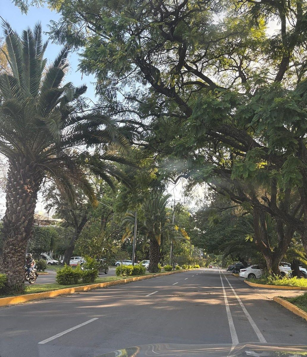 Lot in Chapalita, Guadalajara, photo 2 of 9