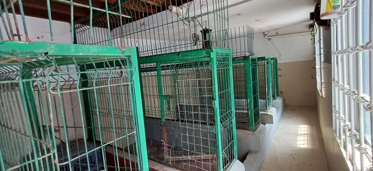 Casa con uso de suelo en Atlamaya, Álvaro Obregón, foto 8 de 14