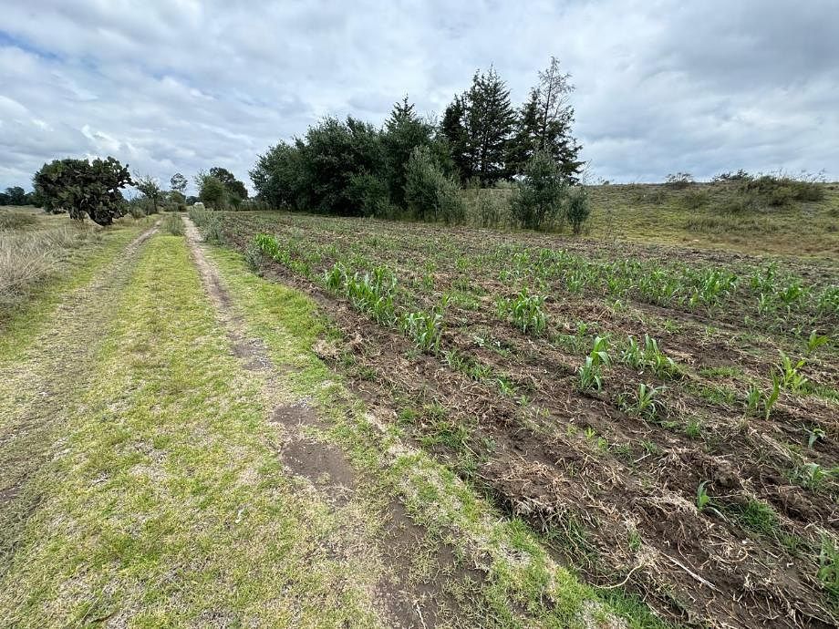 Land for sale in Tzompantepec, Tlaxcala - foto 3