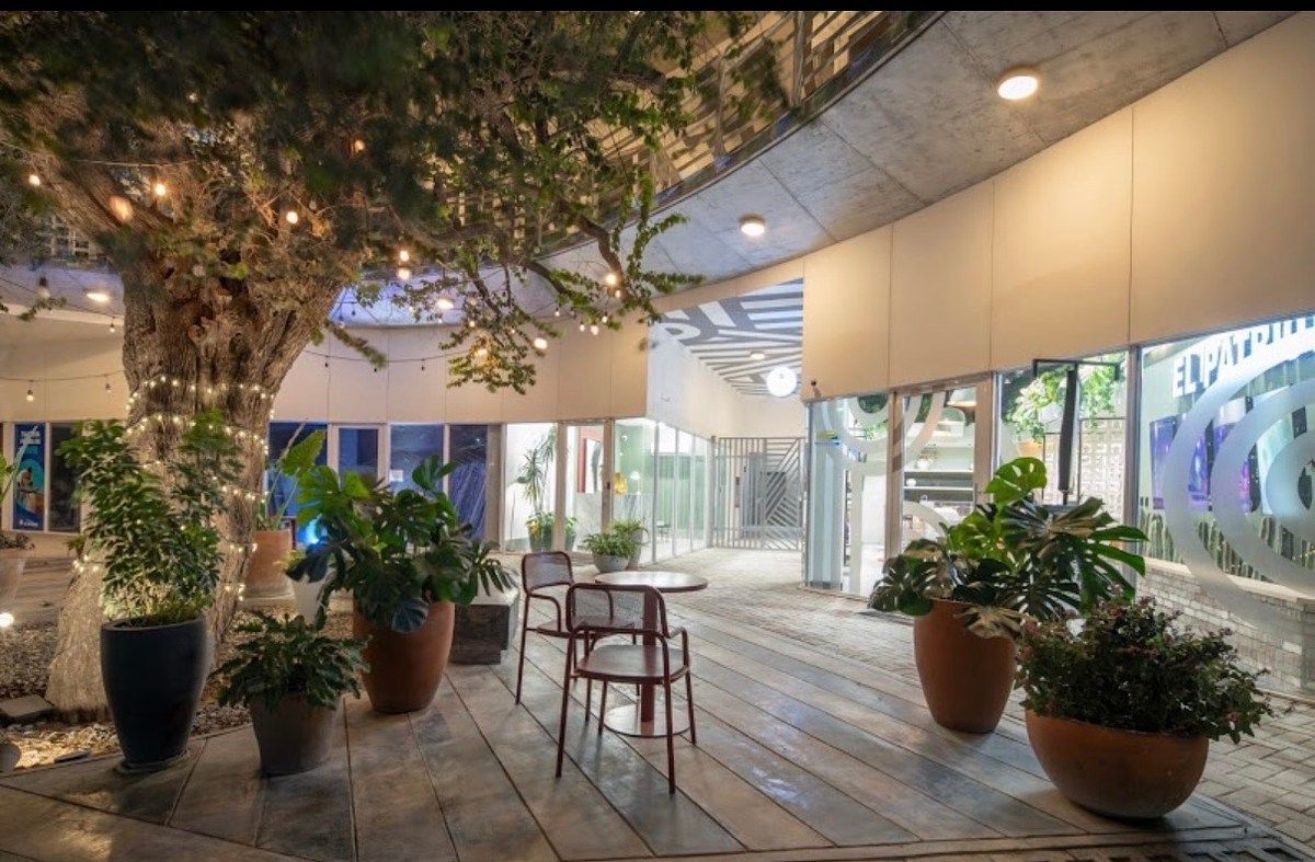 Apartamento em Del Norte, Monterrey, foto 13 de 16