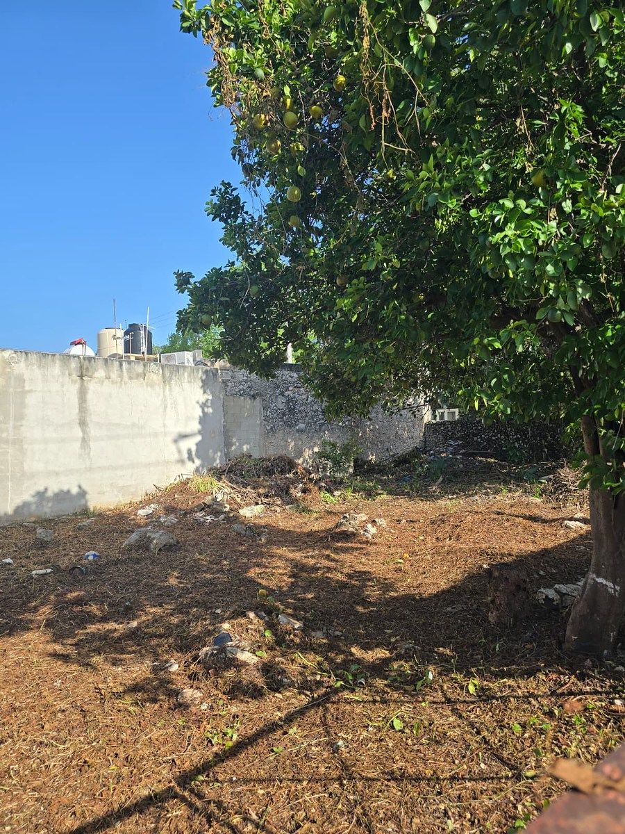 Lote em García Gineres, Mérida, foto 5 de 11