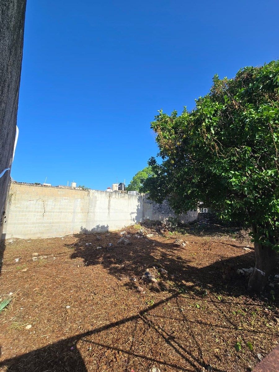 Lote em García Gineres, Mérida, foto 3 de 11