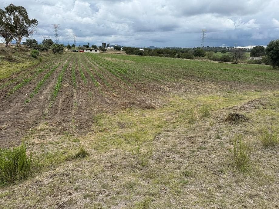Terreno en San Andrés Ahuashuatepec, Tzompantepec, foto 8 de 9
