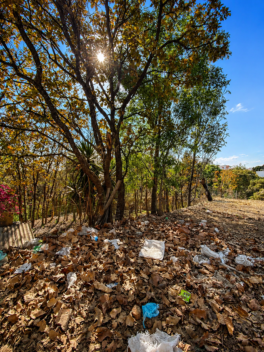 Terreno en Bugambilias, Zapopan, foto 6 de 26