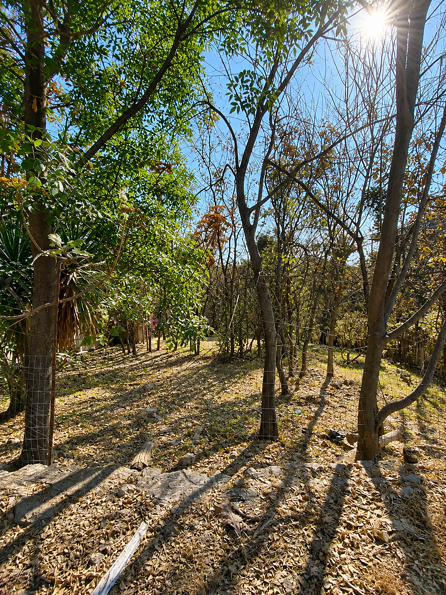 Terreno en Bugambilias, Zapopan, foto 8 de 26