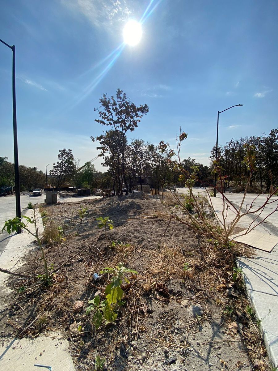 Terreno en Bugambilias, Zapopan, foto 17 de 26