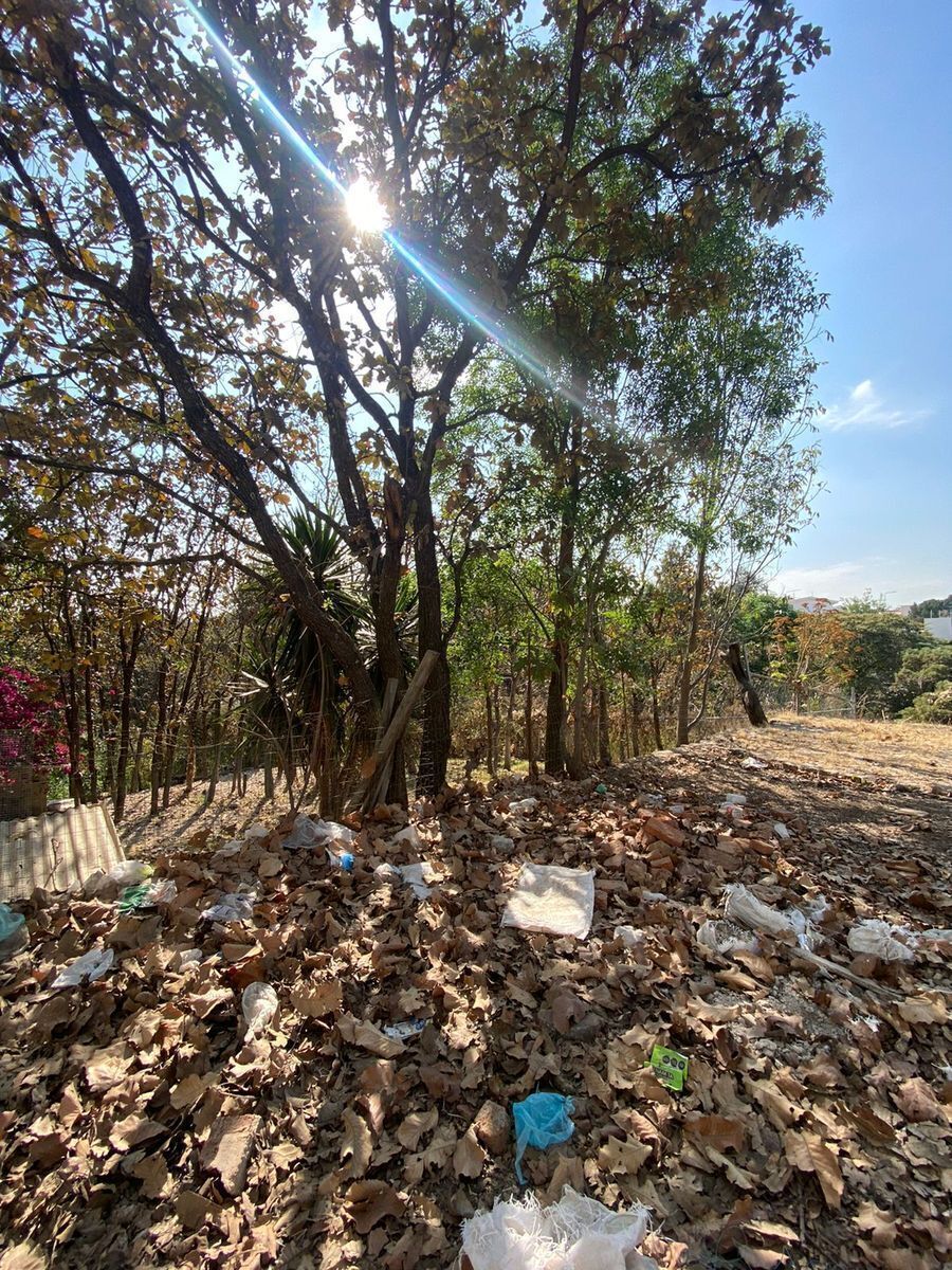 Terreno en Bugambilias, Zapopan, foto 18 de 26
