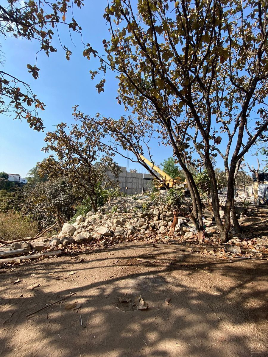 Terreno en Bugambilias, Zapopan, foto 20 de 26