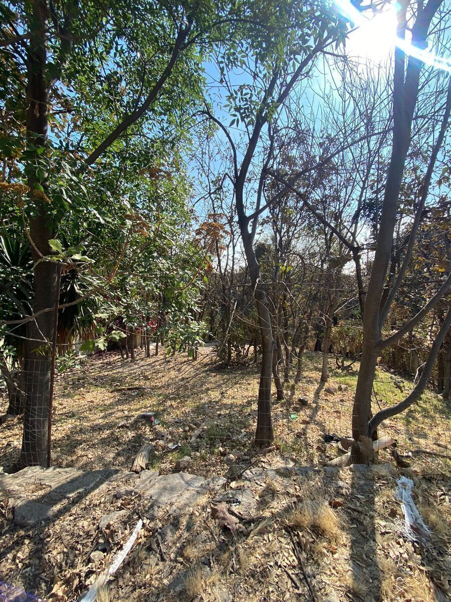Terreno en Bugambilias, Zapopan, foto 21 de 26