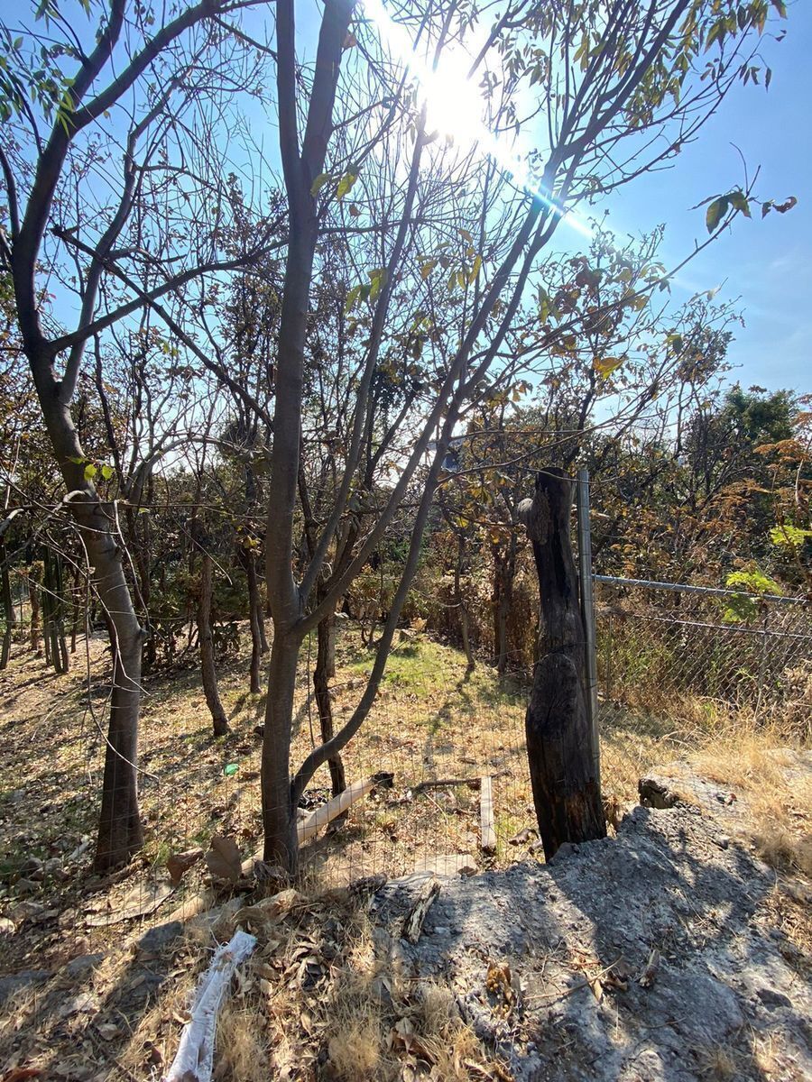Terreno en Bugambilias, Zapopan, foto 22 de 26