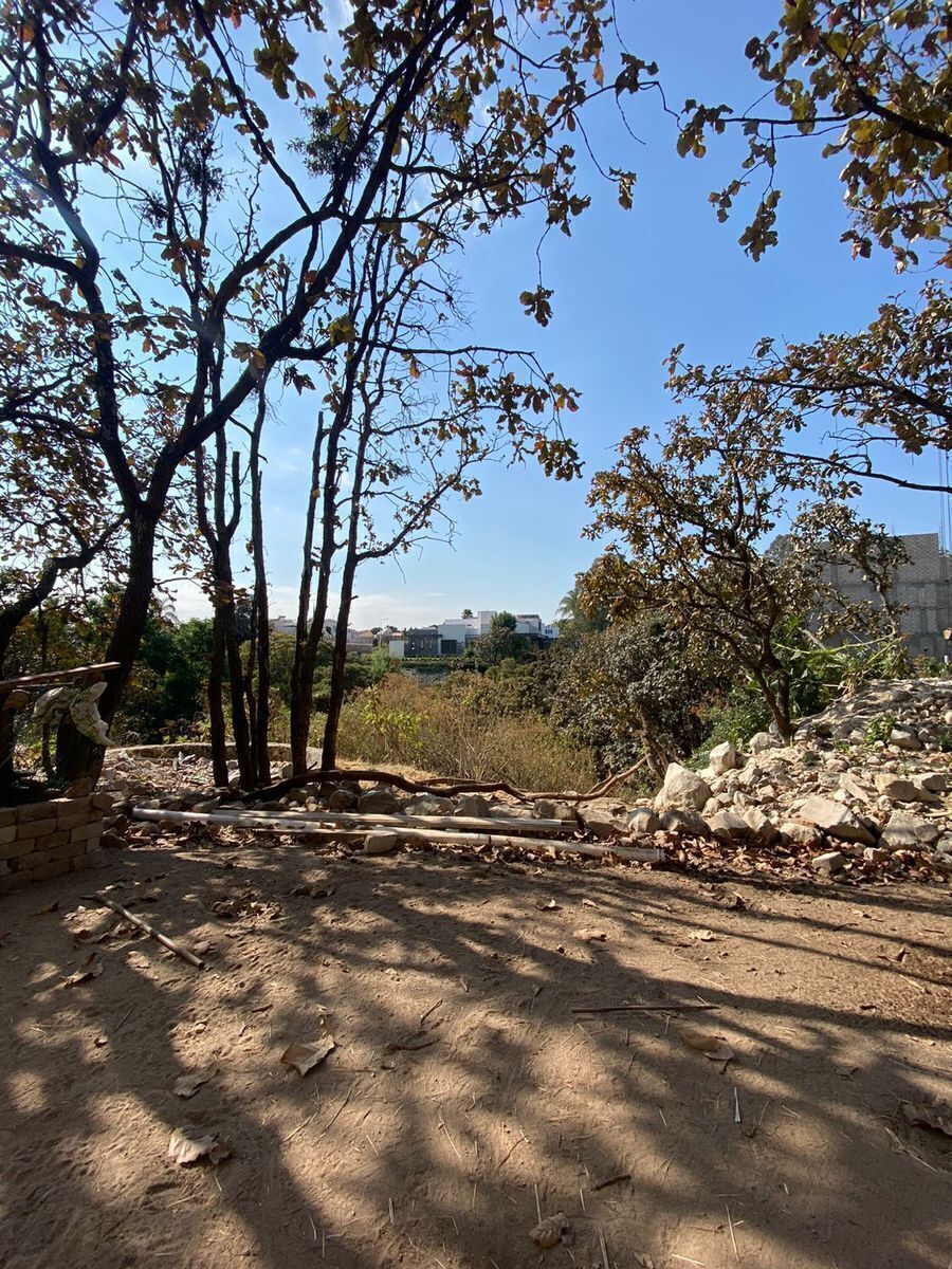 Terreno en Bugambilias, Zapopan, foto 24 de 26
