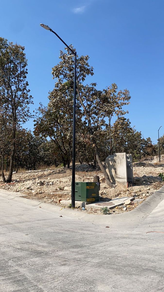 Terreno en Bugambilias, Zapopan, foto 25 de 26