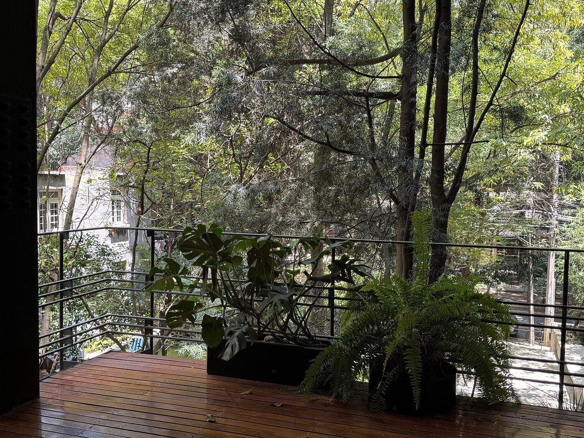 Ámsterdam, amplio departamento con terraza, foto 1 de 18