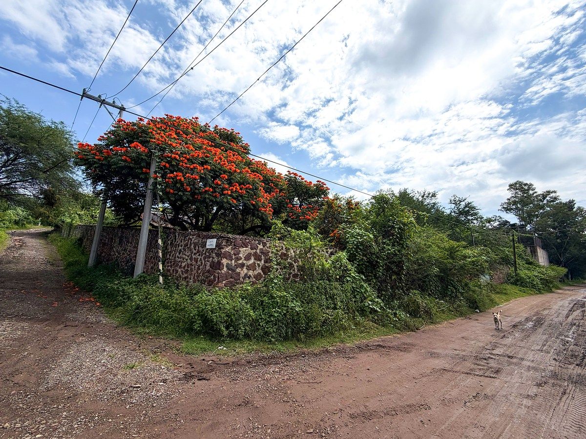 Quinta en Cajititlán, Tlajomulco de Zúñiga, foto 3 de 24